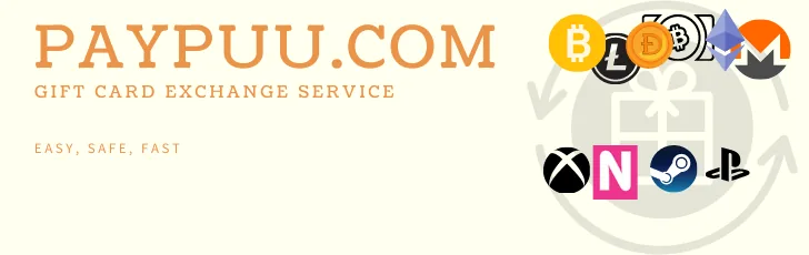 Customer Support and Dispute Handling at PayPuu